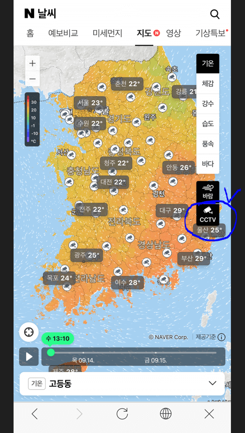 네이버 날씨 예보 CCTV 기능