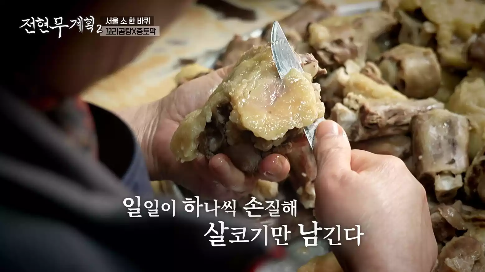 꼬리곰탕 살코기
