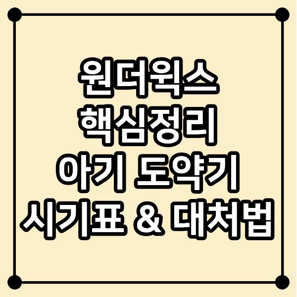 원더윅스 핵심정리|아기 도약기 시기표 & 대처법