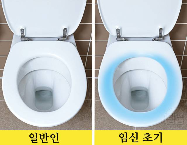 임신초기증상 임신극초기증상 임신테스트기 사용시기