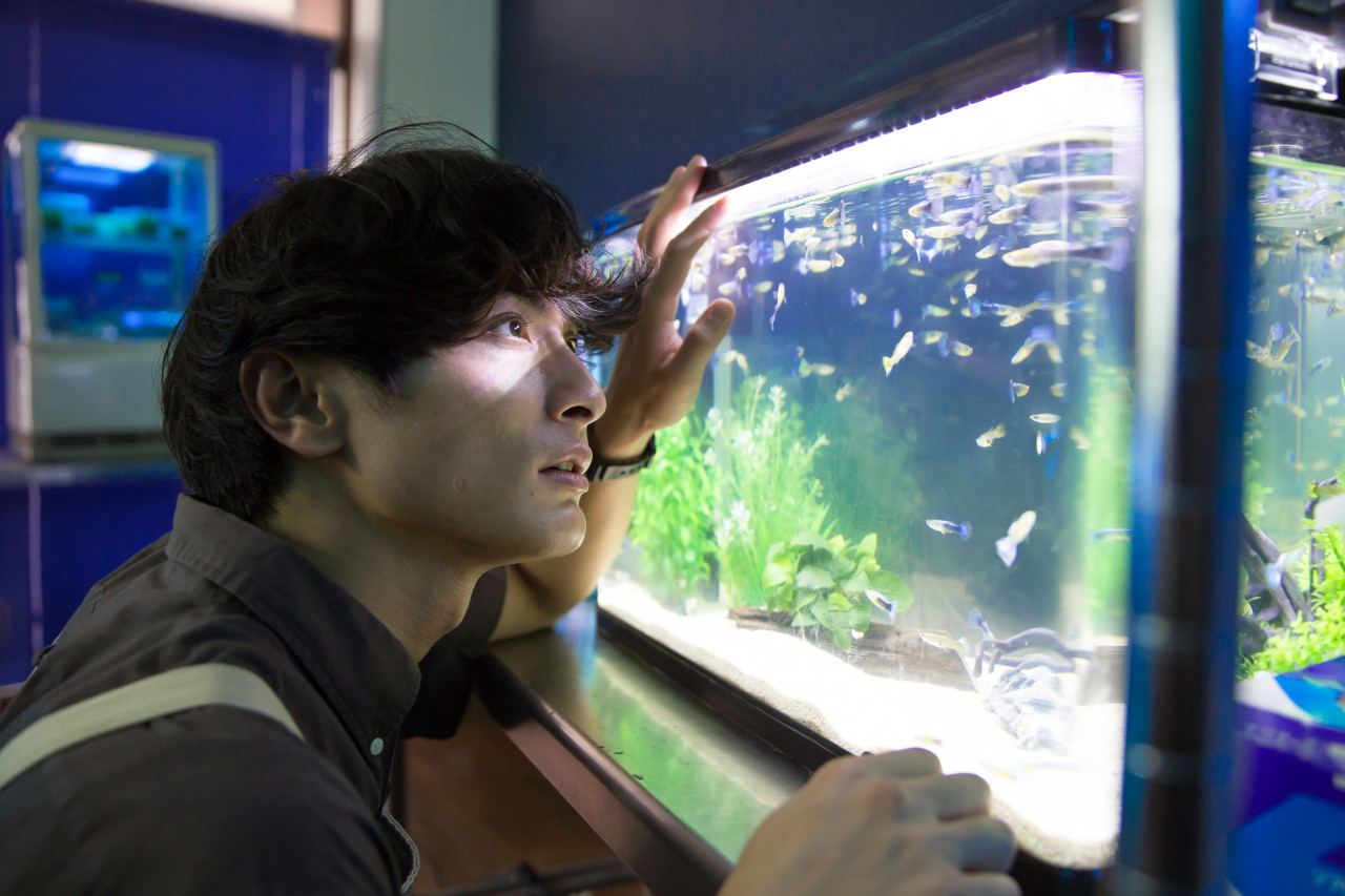 언더유어베드 정보