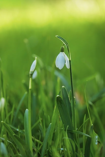 전국 날씨 예보 기온 눈 강수 추위 전망