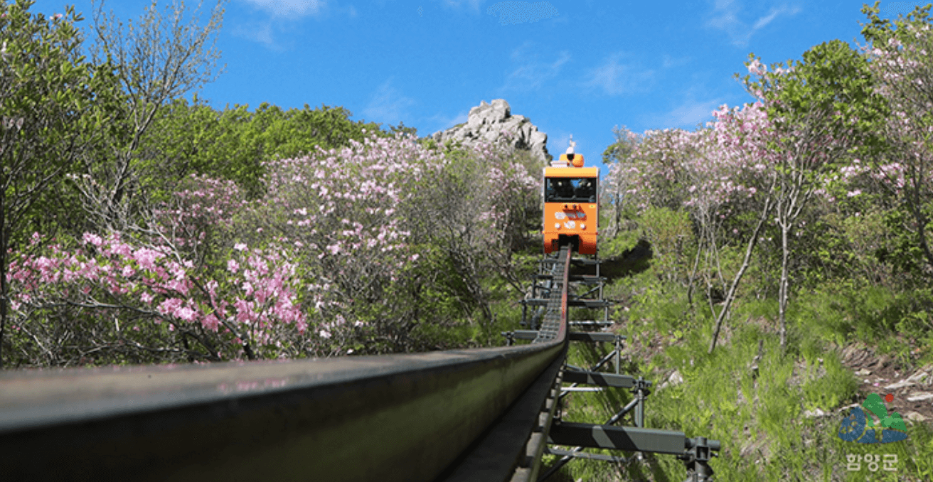 함영 대봉산 모노레일