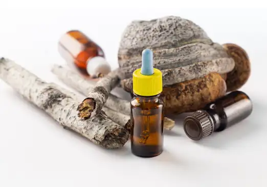 차가버섯 효능효과 영양성분 주의점