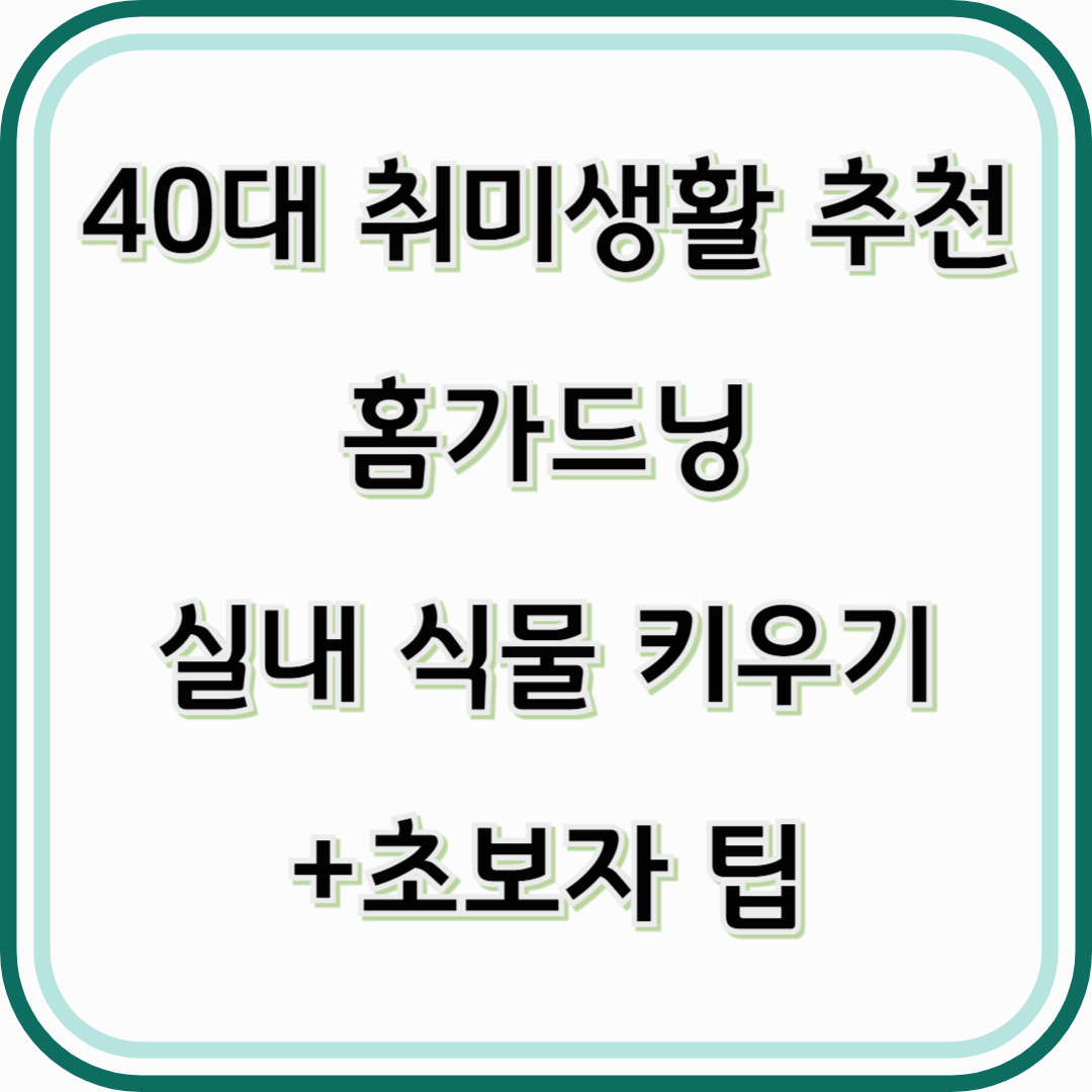 40대 취미생활 추천- 홈가드닝(실내 식물 키우기)+초보자 팁