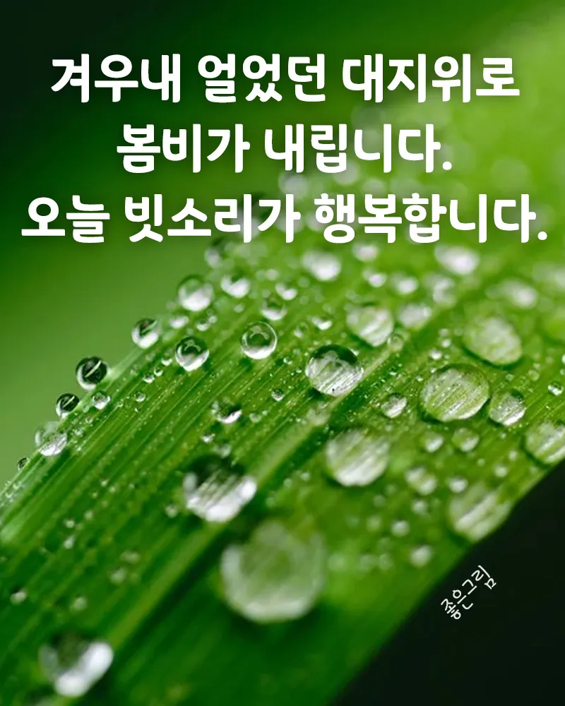 봄비 인사말 이미지 비오는날 일러스트_8