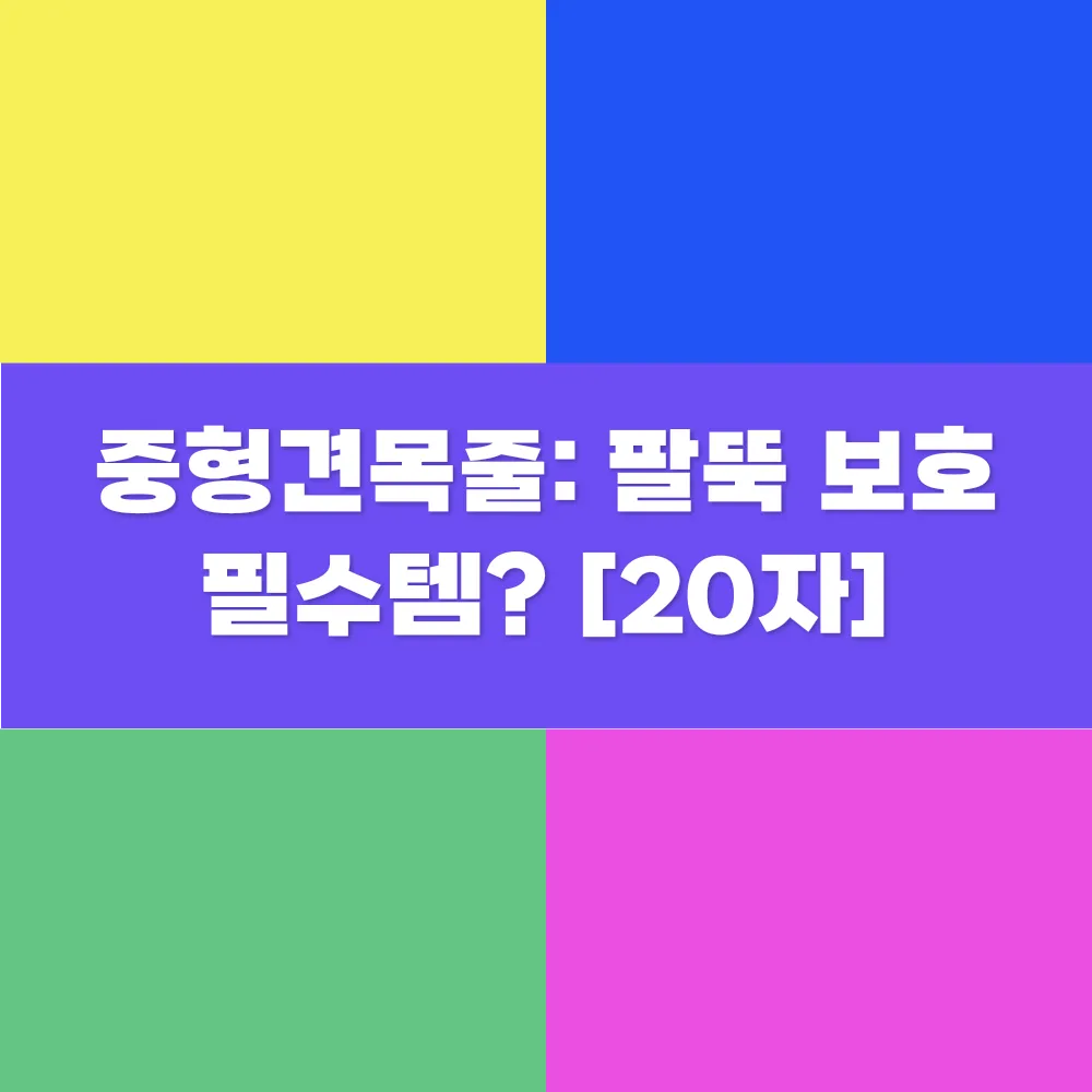 썸네일 이미지
