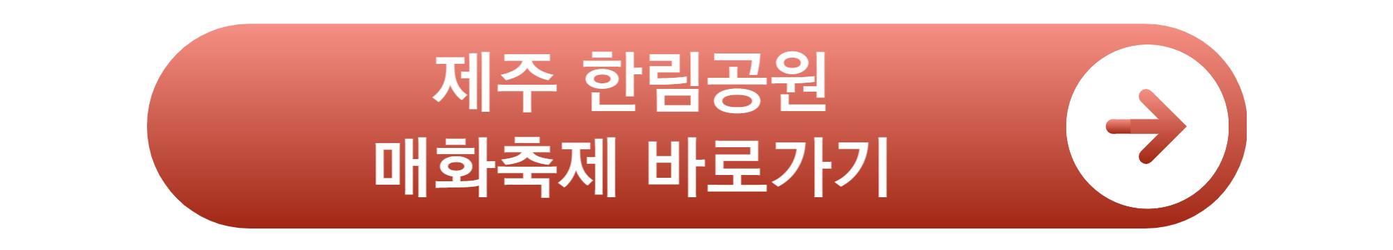 매화축제