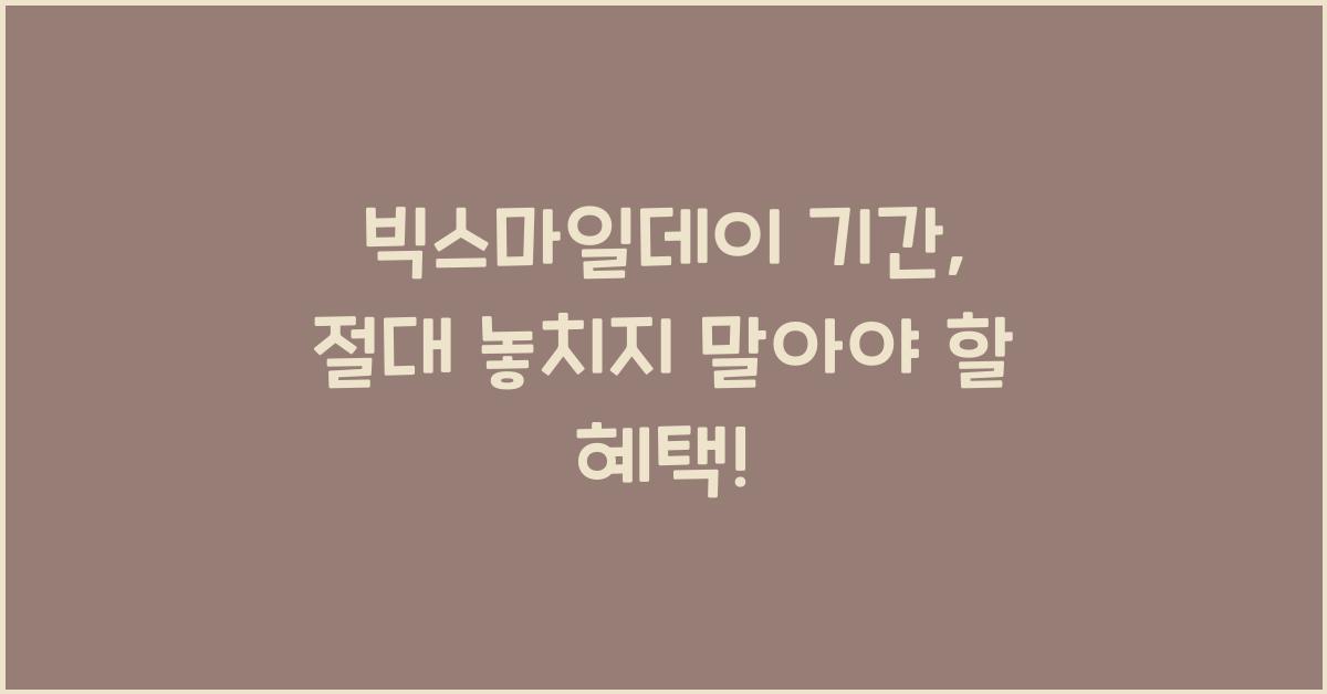 빅스마일데이 기간