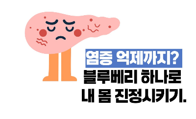 블루베리 효능 부작용