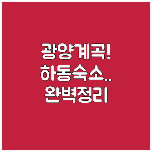 여름 휴가 필수 광양 계곡 펜션 리스..
