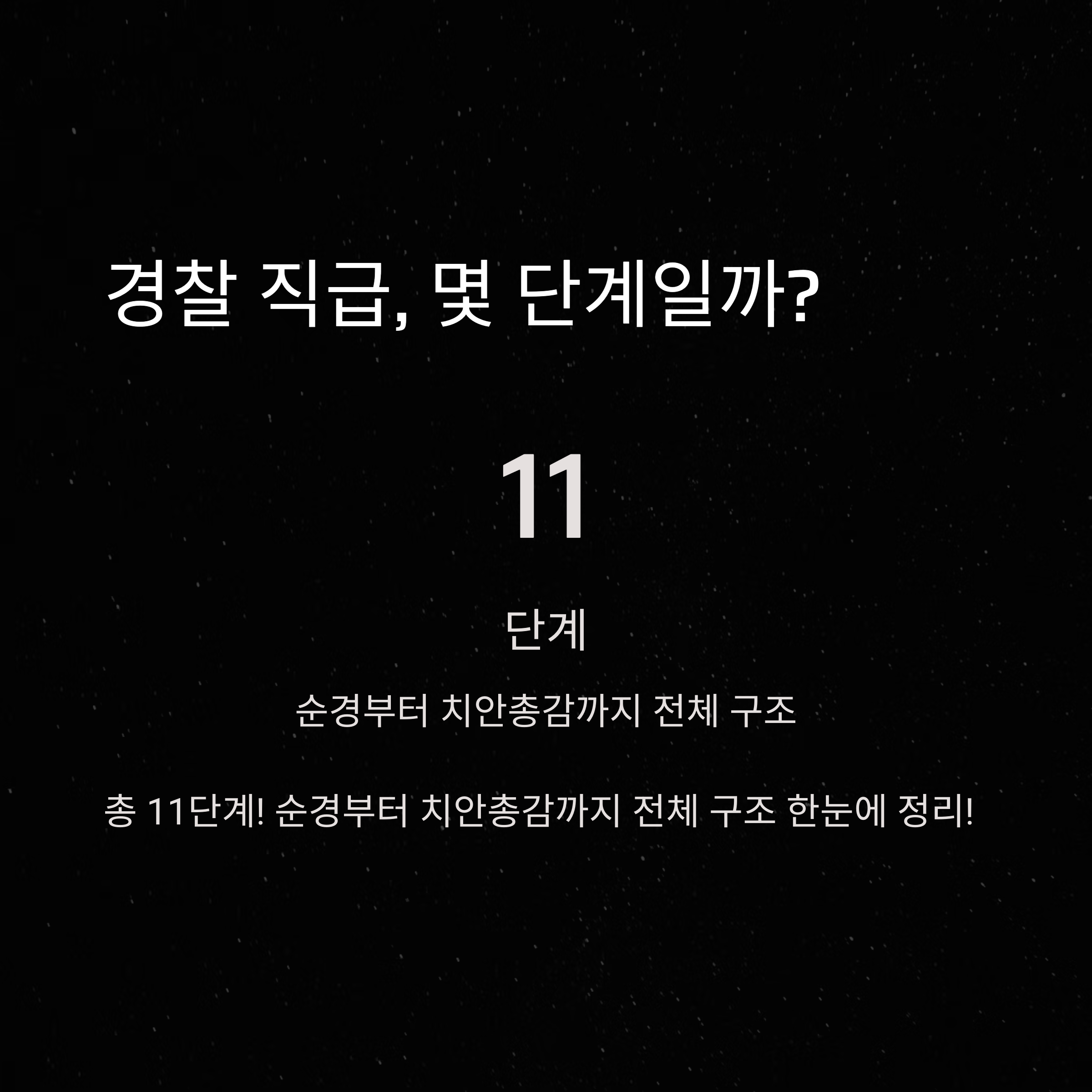 경찰 직급 체계 총정리 – 계급 순서와 역할까지 쉽게 이해하기