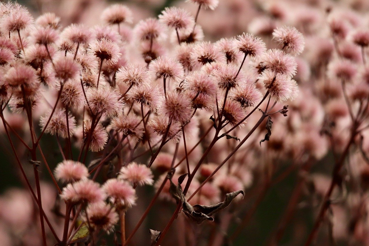 초보자를 위한 체계적인 경제 공부 방법 (기초 이론, 실전)