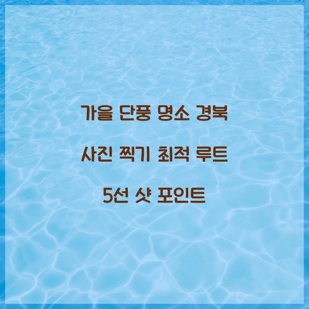 가을 단풍 명소 경북