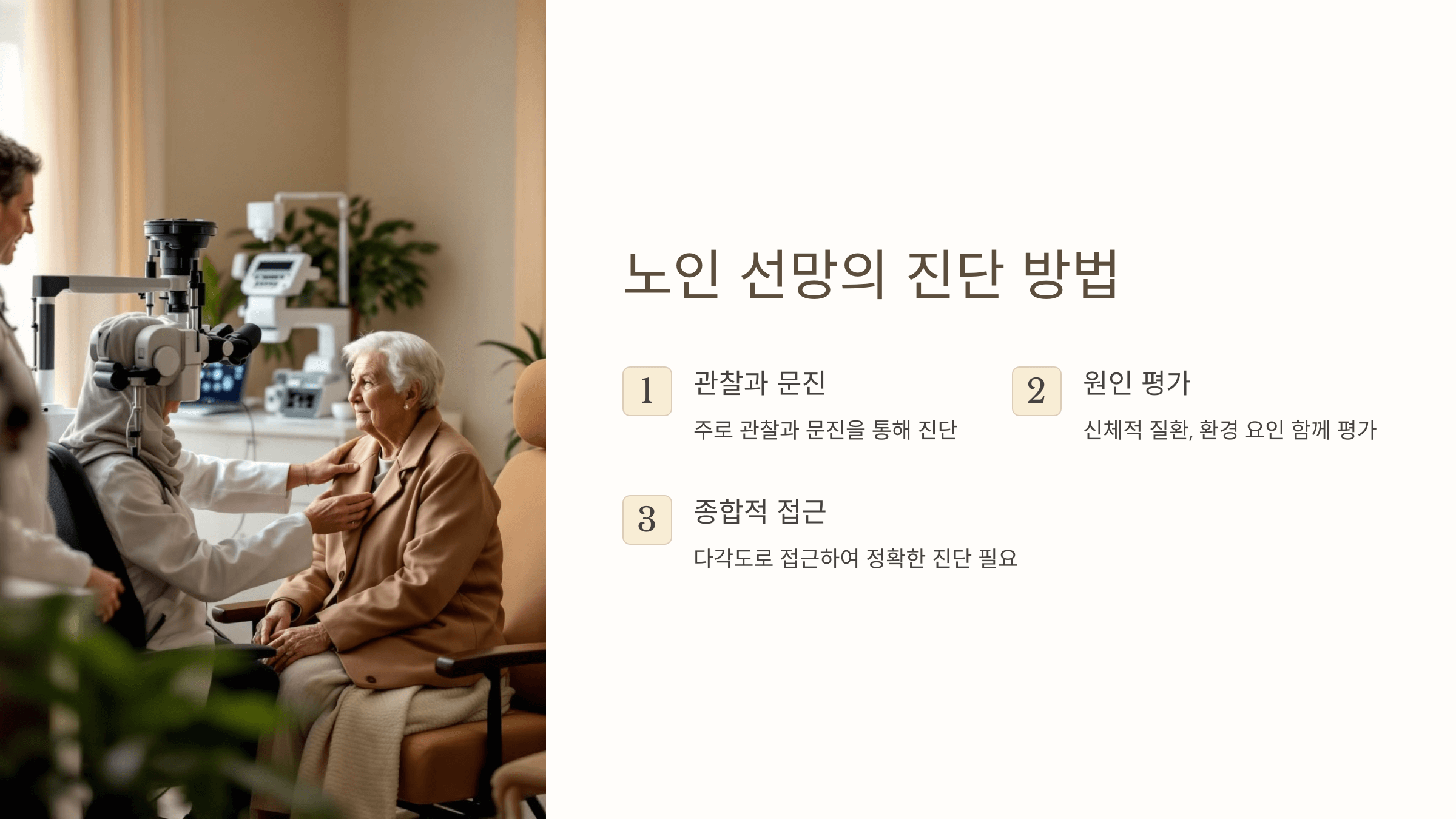 노인선망과 관련된 사진입니다.