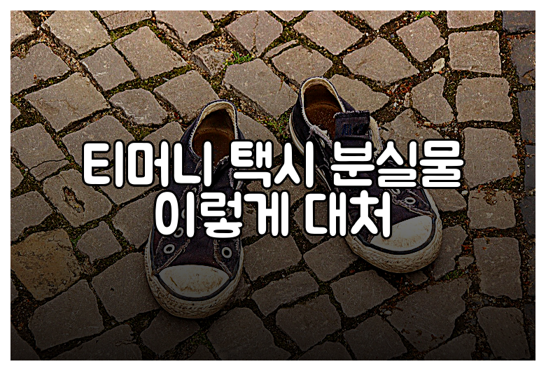 티머니 택시 분실물 이렇게 대처