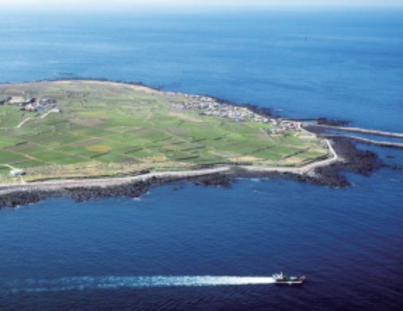 가파도 청보리 축제