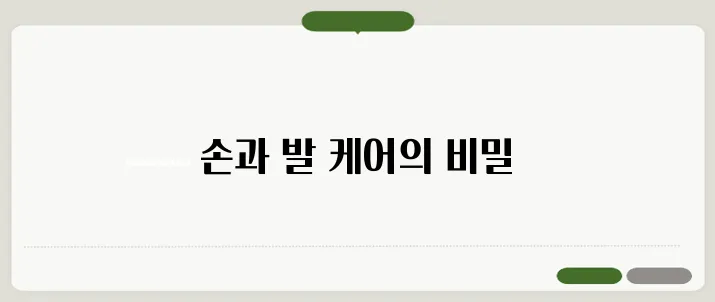 파라핀베스 사용 효과와 추천 제품