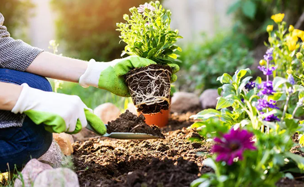 원예학과 전망 및 전국대학리스트