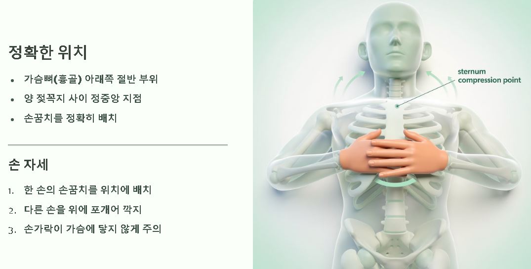 심폐소생술 가슴압박위치