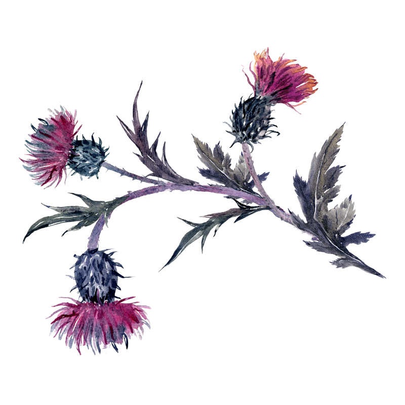 밀크씨슬 부작용