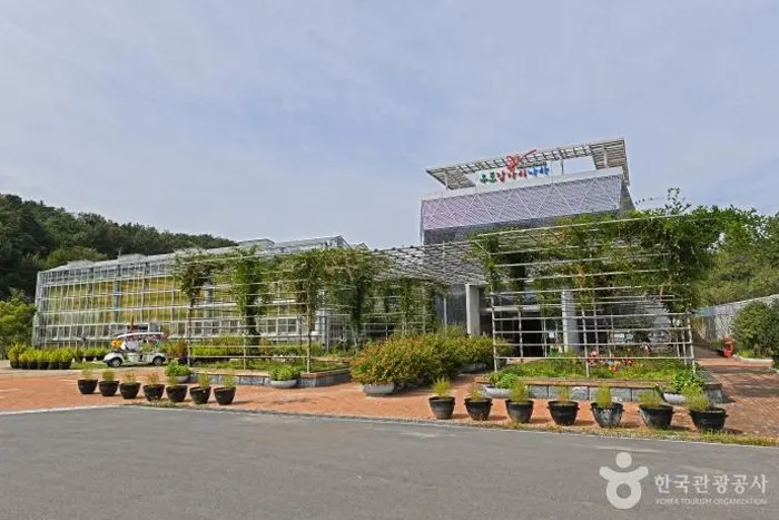 우포 잠자리나라 전경 이미지