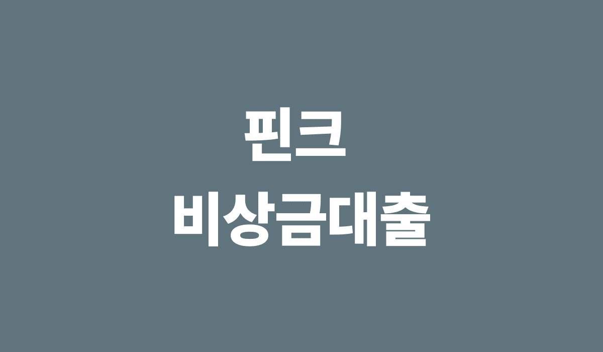핀크_비상금대출_썸네일