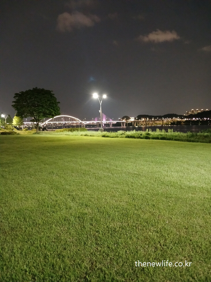 Night view of a wide lawn at Guri Riverside Park with bridge lights-구리 한강공원 맨발 걷가에 적합한 잔디밭과 조명이 켜진 다리의 야경 풍경