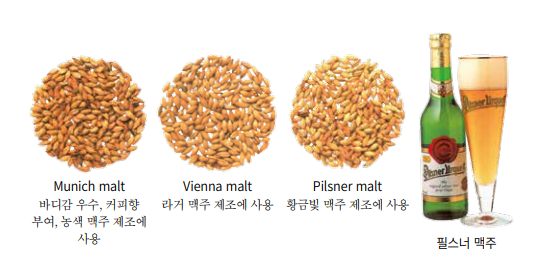 맥아의 종류와 맥주 맥아의 종류와 맥주