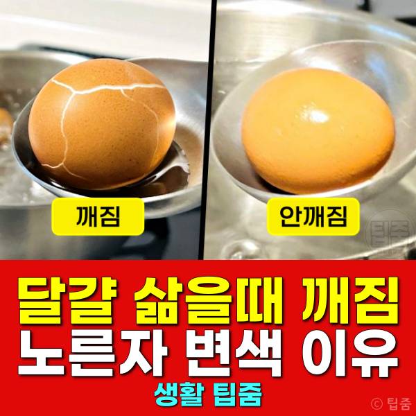 삶은달걀 깨짐 이유 달걀삶는법 삶은계란 노른자 변색
