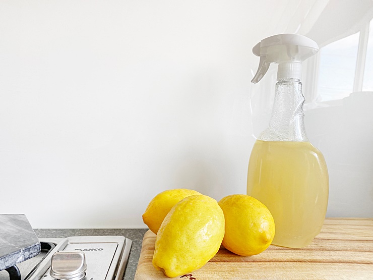 애플 사이다 비니거 효능 6가지