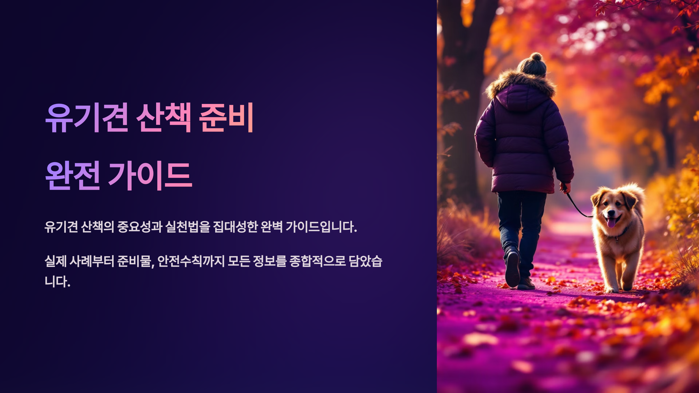 유기견 산책 준비물과 주의사항 완전 가이드