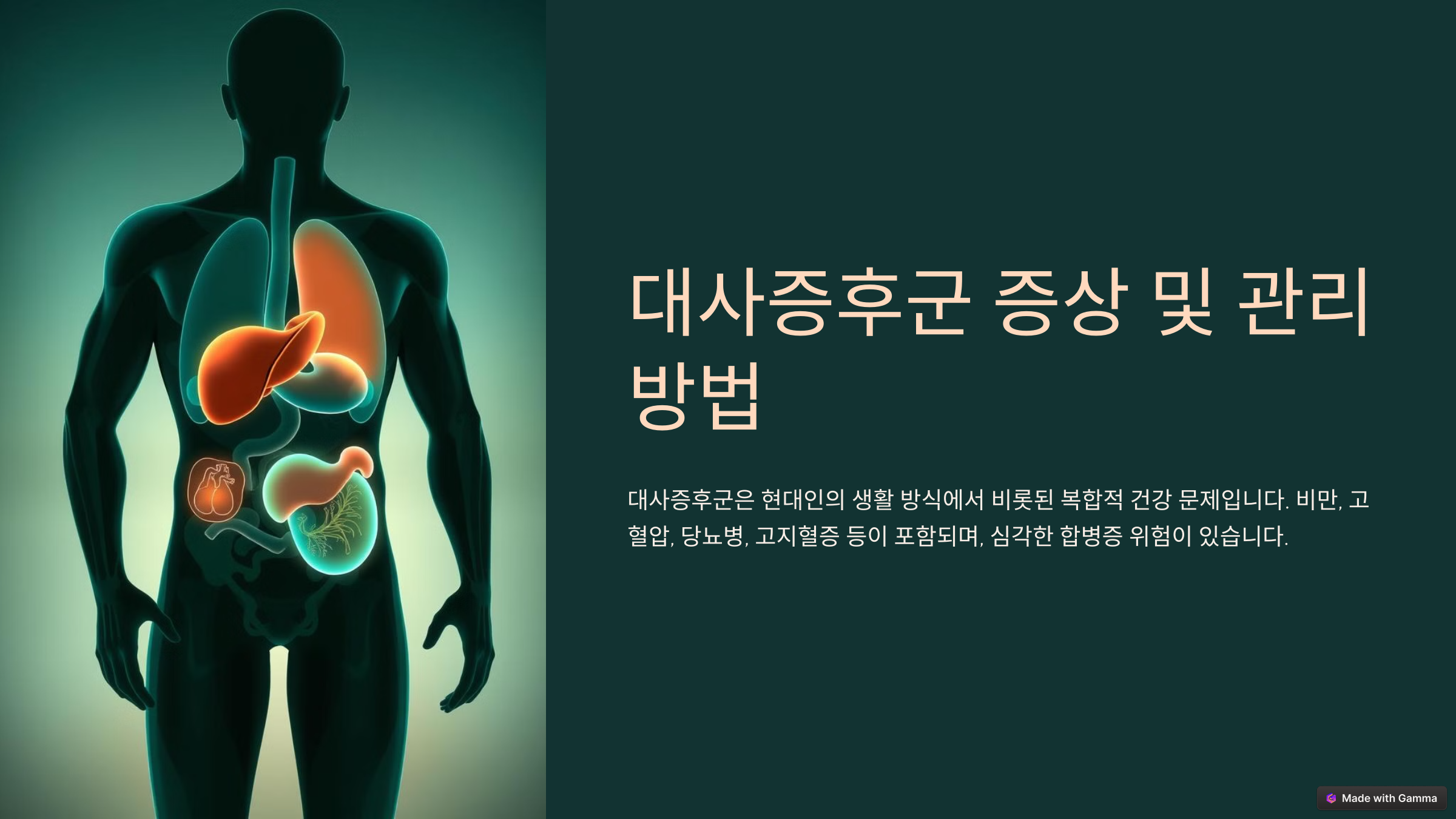 대사증후군 증상 및 관리 방법