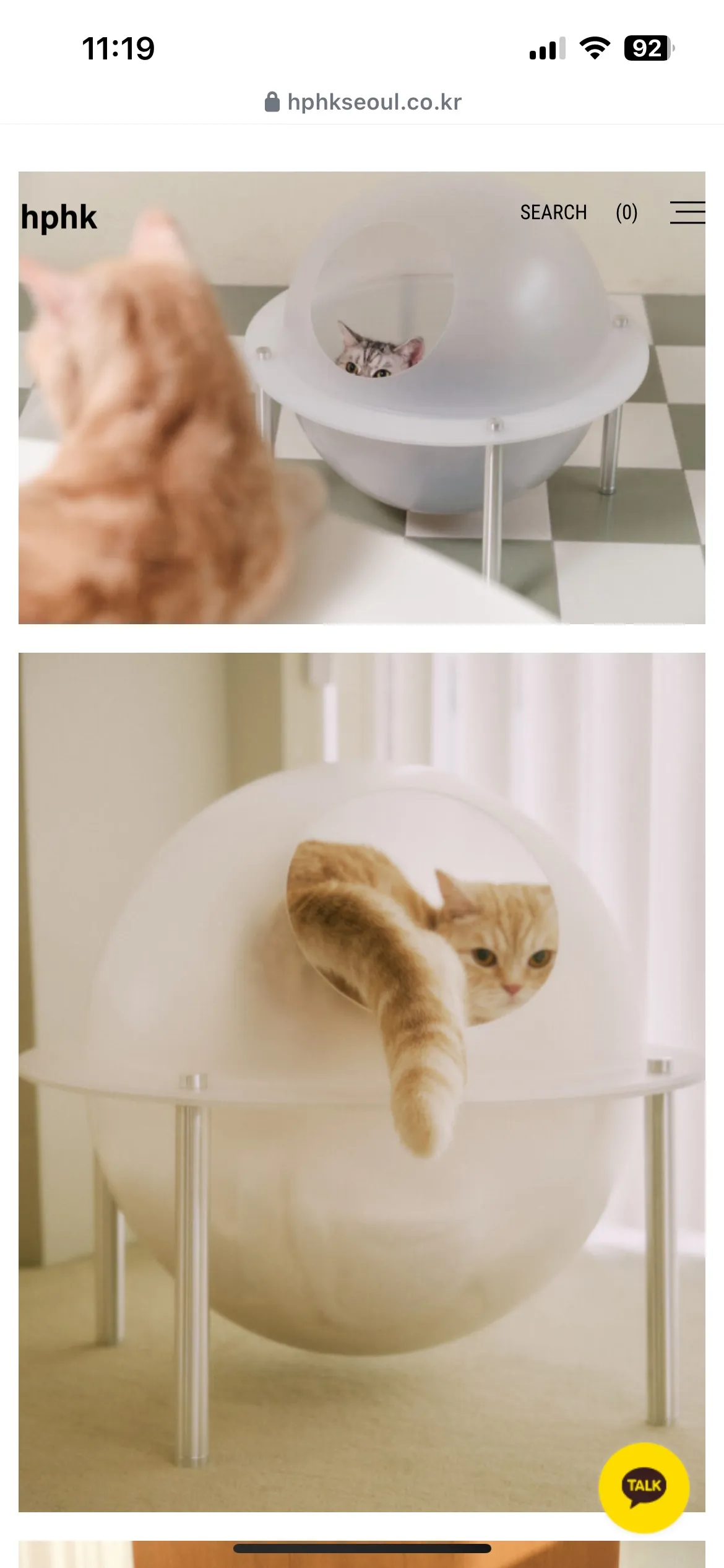 &amp;quot;고양이