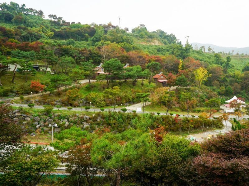 이안숲속