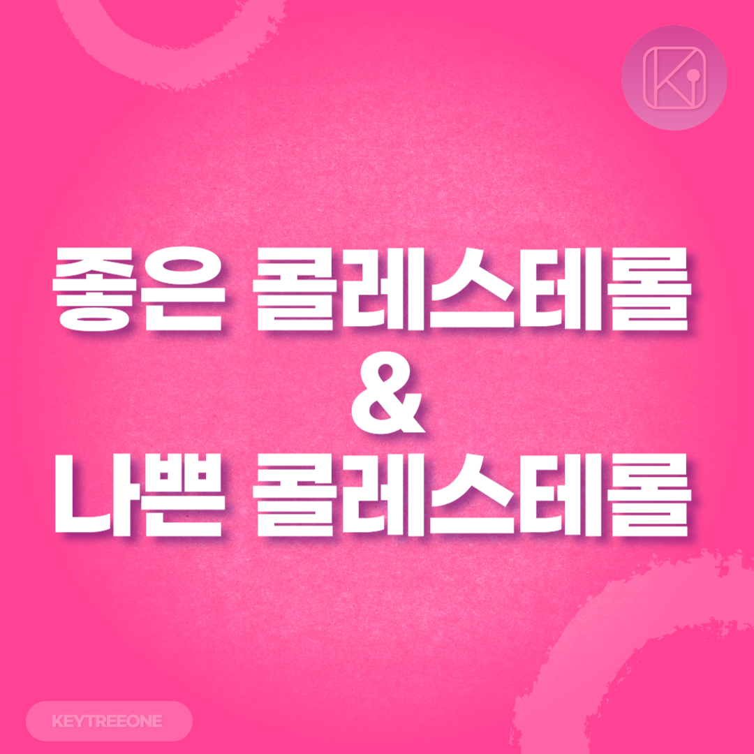 좋은 콜레스테롤과 나쁜 콜레스테롤