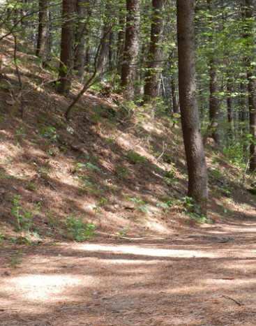숲나들e 양평 설매재 자연휴양림 국내 여행지 추천 관련사진