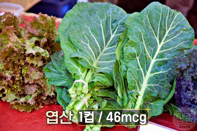 엽산 많은 음식 콜라드 엽산음식 뇌졸중 심장마비