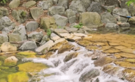 일랑일랑스테이 주변 강