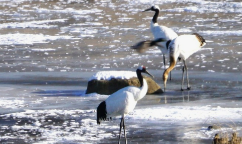 생생 정보통 맛집 오늘 방송