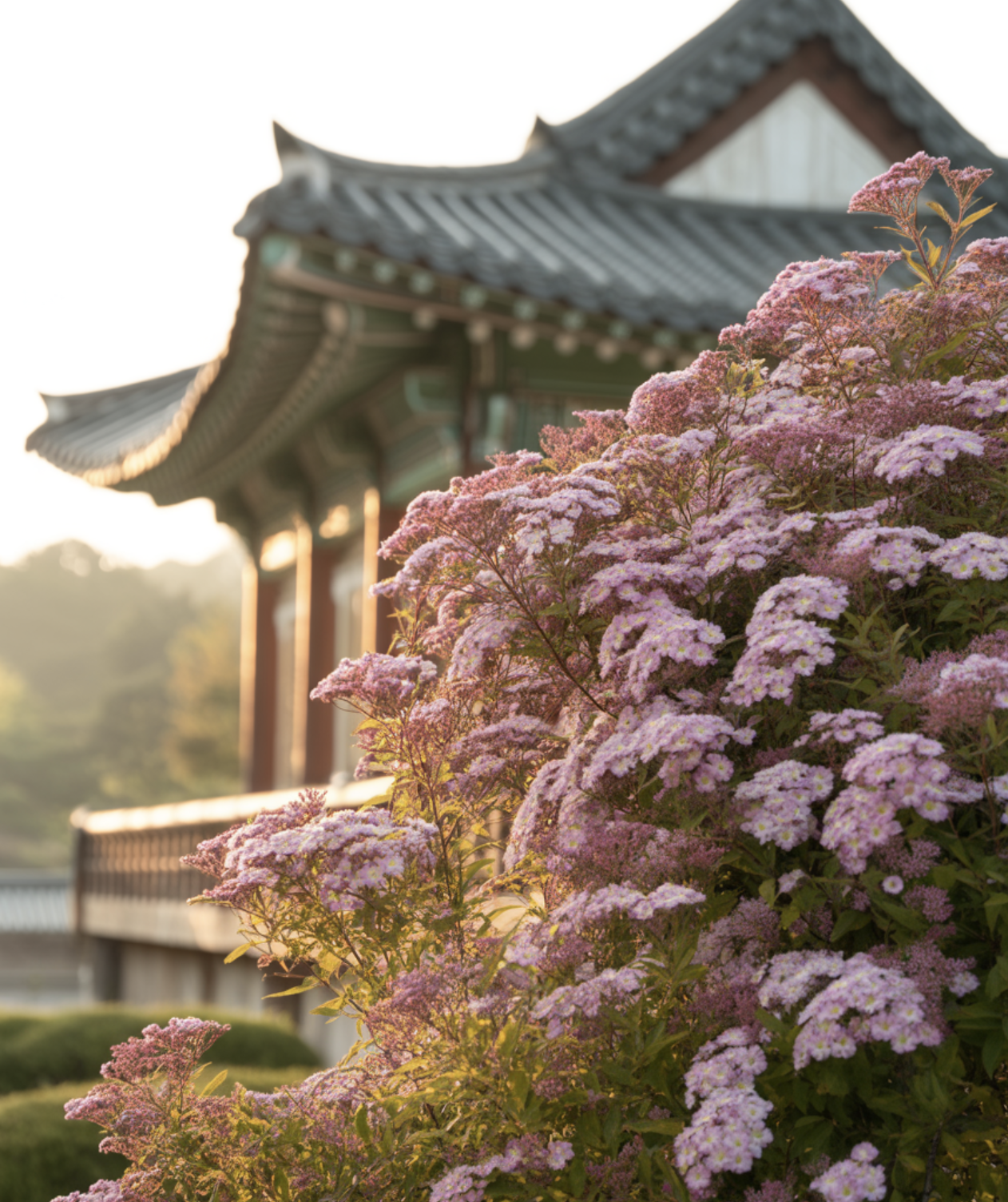최고의 명당&amp;#44; &amp;#39;햇볕&amp;#39;과 &amp;#39;바람&amp;#39;