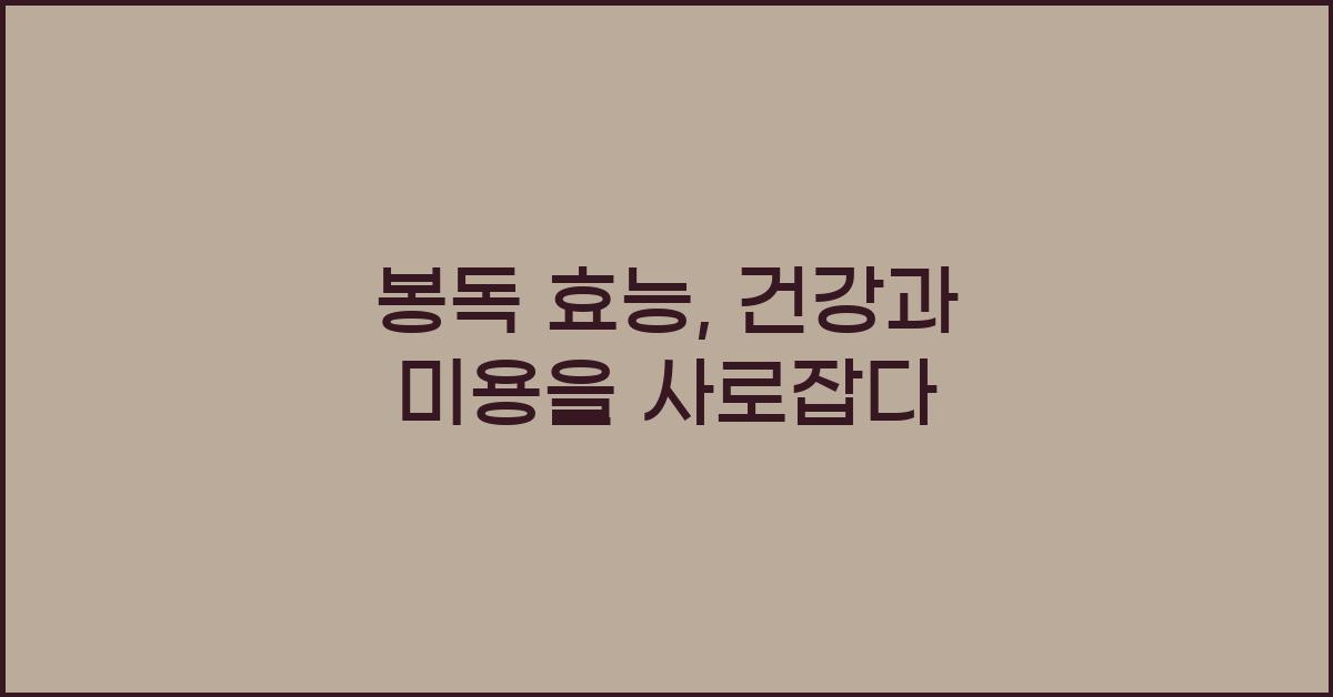 봉독 효능