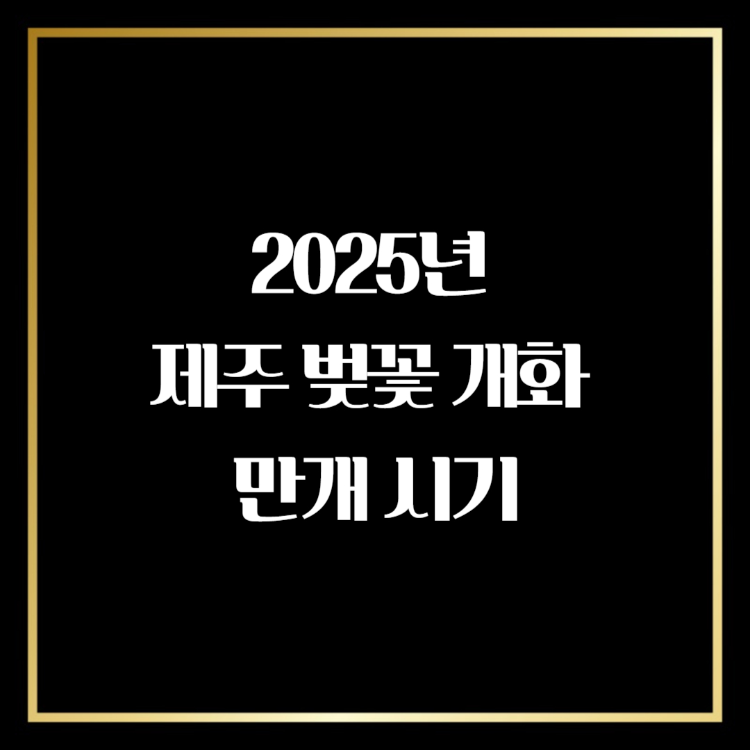 제주 벚꽃 개화