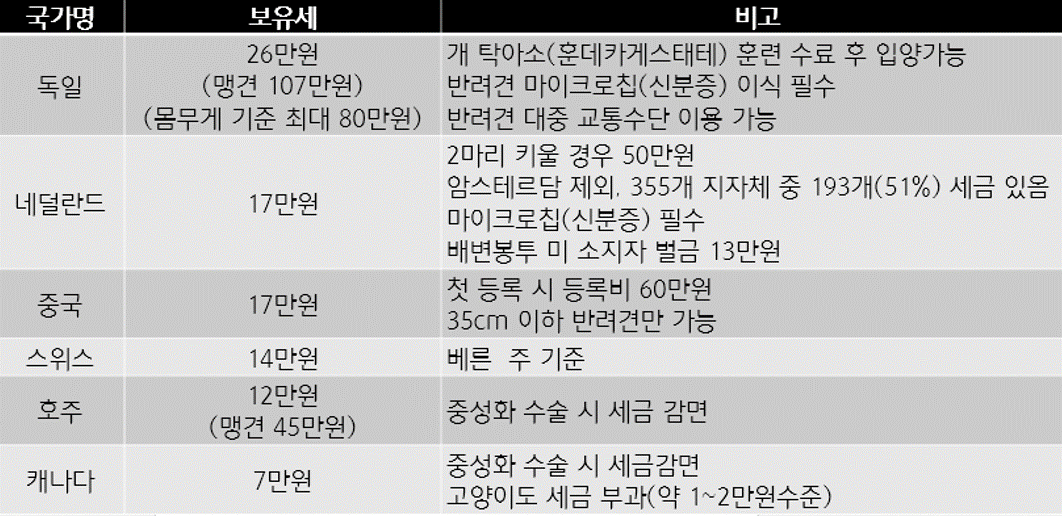 1가구 2주택 보유세