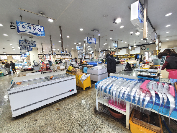 제주시수협어시장 내부