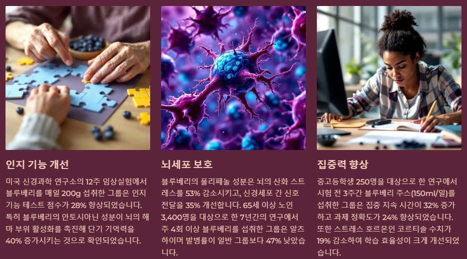 두뇌건강 기억력 개선