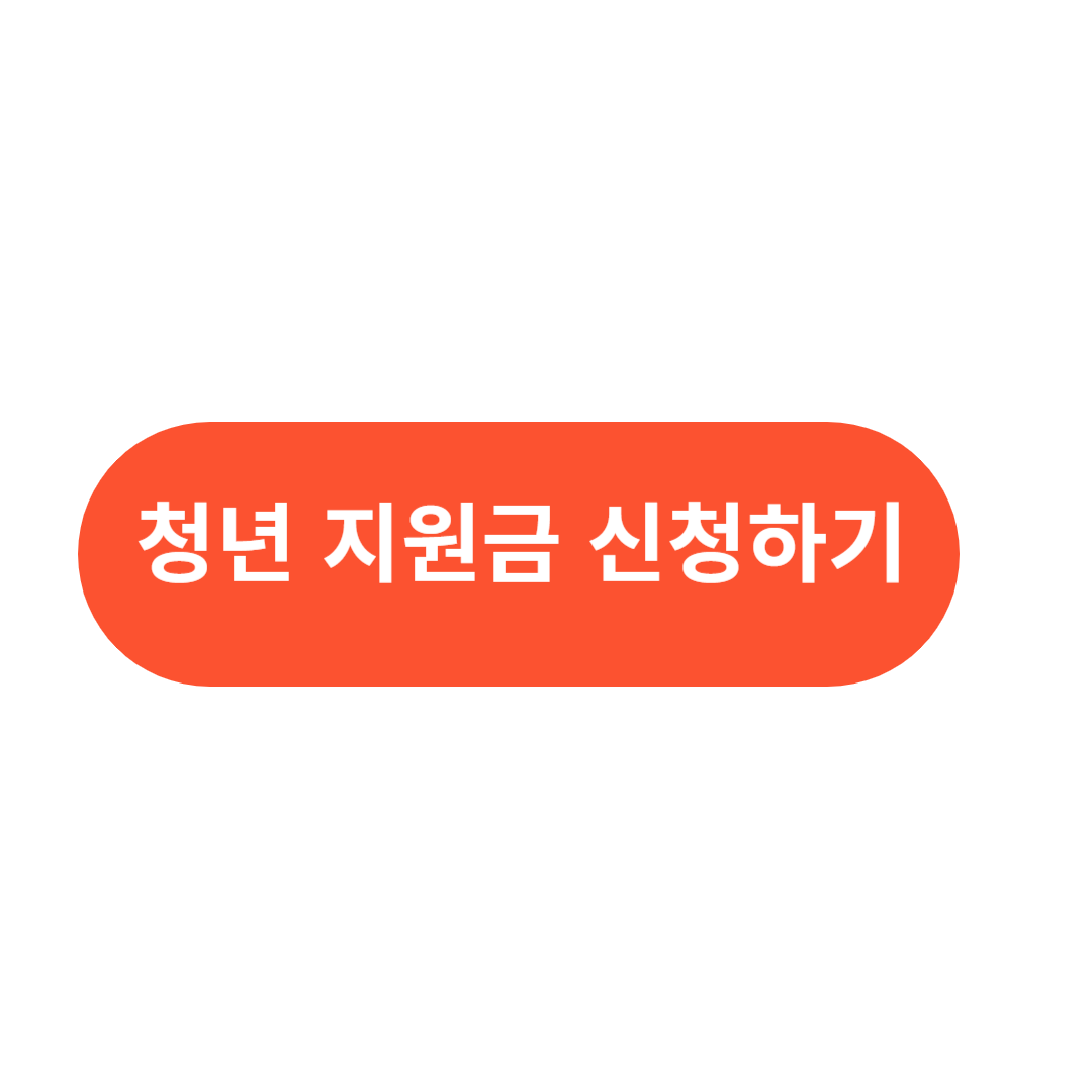 청년지원금-신청