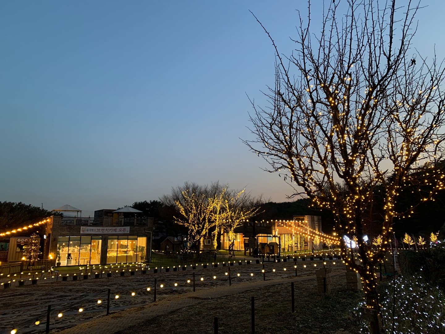 [서울 근교 여행지]산들소리 수목원 &amp; 낭만등불축제 후기