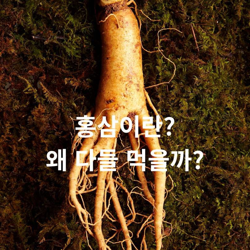 홍삼 효능과 부작용, 먹으면 안 되는 사람 유형