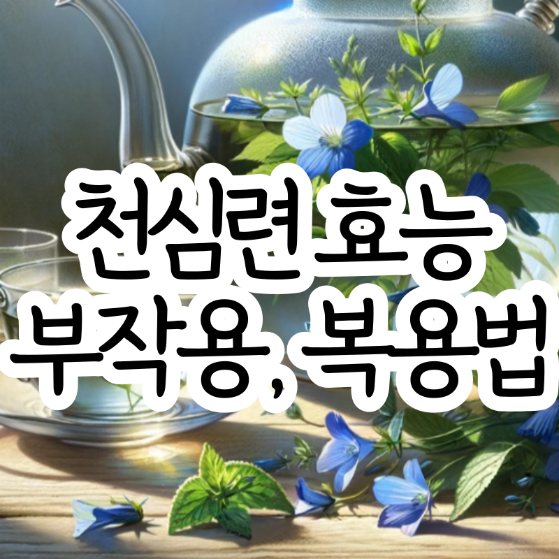 천심련 효능 복용법 천심련 약초 부작용